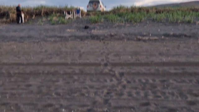 Встречаем рассвет на Тихом океане! Открытие летнего сезона! смотреть онлайн