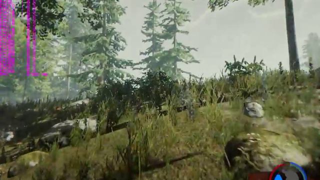 playing the forest on my gaming server high preset part 2(no audio) смотреть онлайн