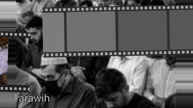 Algérie. Un chat a failli perturber les Tarawih et l’imam salué pour sa réaction mesurée (vidéo) смотреть онлайн