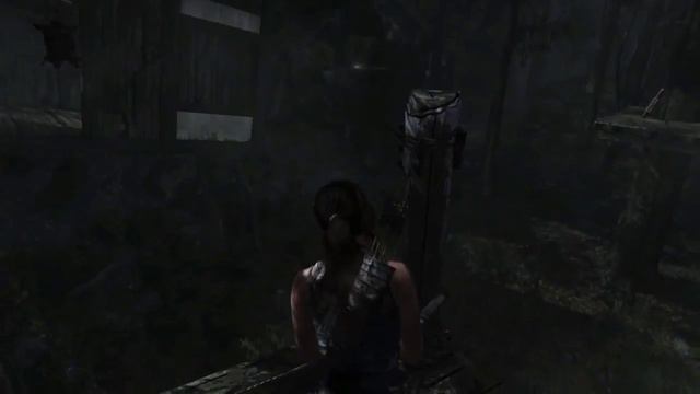 Tomb Raider Definitive Edition часть 19 Горный лес смотреть онлайн