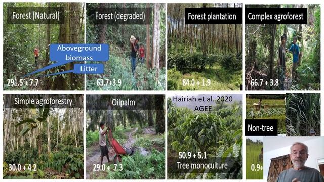 The role of Agroforestry in Adaptation and Mitigation to Climate Change смотреть онлайн