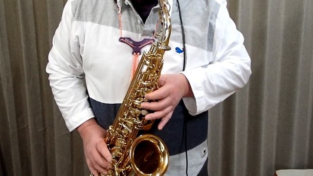 ベサメ・ムーチョ / Bésame mucho / サックスで吹いてみた смотреть онлайн