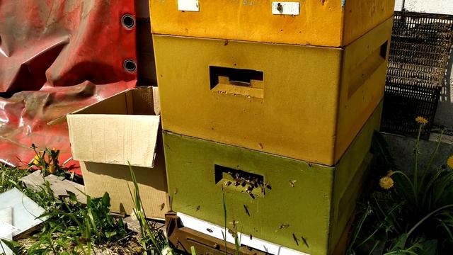 Пчеловодство в ульях системы Рут смотреть онлайн