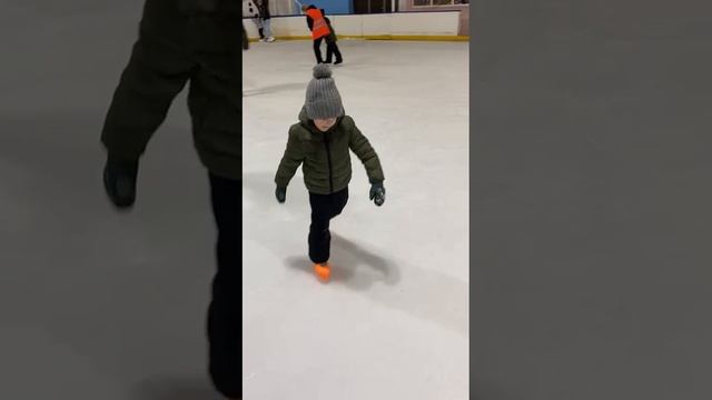 Двойняшки на коньках