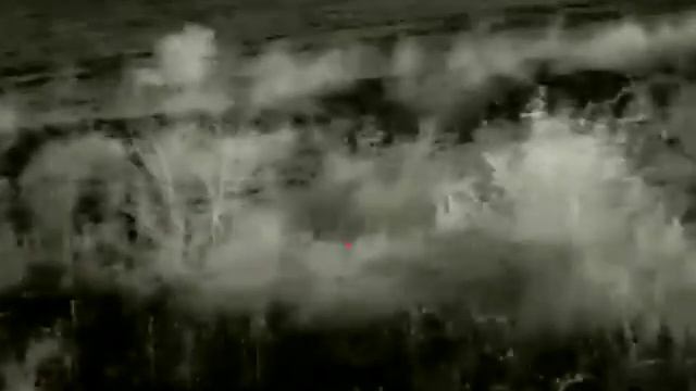 Охота на хищника (шакала) смотреть онлайн