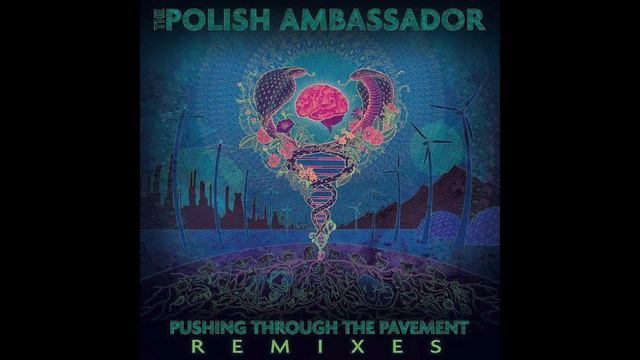 The Polish Ambassador - Koyelia (Gladkill Remix) смотреть онлайн
