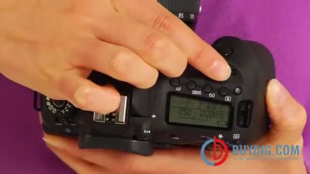 BuyDig Canon EOS 60D DSLR Camera смотреть онлайн