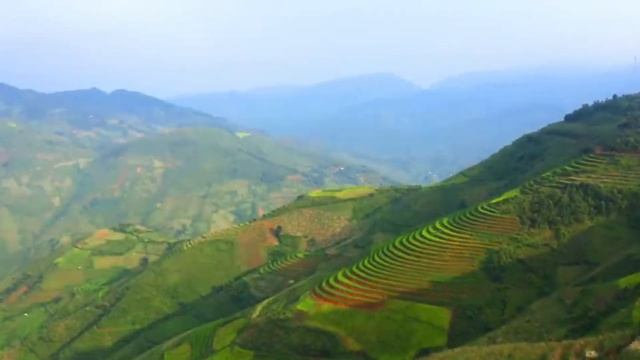 Scenic Drive | Kingdom of the Garden смотреть онлайн