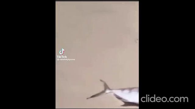 вечер -- 11.04.2023 года смотреть онлайн