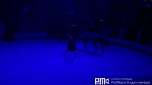 Девочка и слон 1 Акт в Ярославском цирке сезон 2023