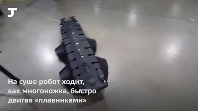 В США создали робота-амфибию, который проходит по льду, снегу, воде и песку смотреть онлайн