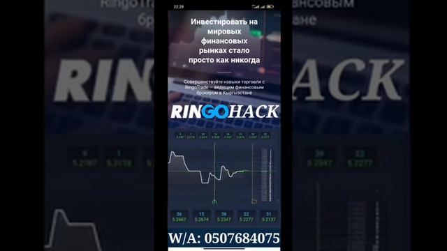РИНГО ХАК РИНГО ТРЕЙД RingoHack RingoTrade Ringo Ринго РингоХак Ринго Трейд Ринго Хак ринго трейд смотреть онлайн