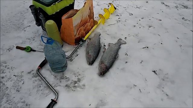 Метель не способствует активному клёву форели. Утро на Верхнем. Клёвое место, Лосиный остров смотреть онлайн