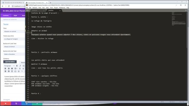 Comment utiliser les templates du thème Divi avec WordPress (partie 1/3) смотреть онлайн