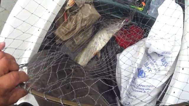 За щуками,Рыбка просыпается смотреть онлайн