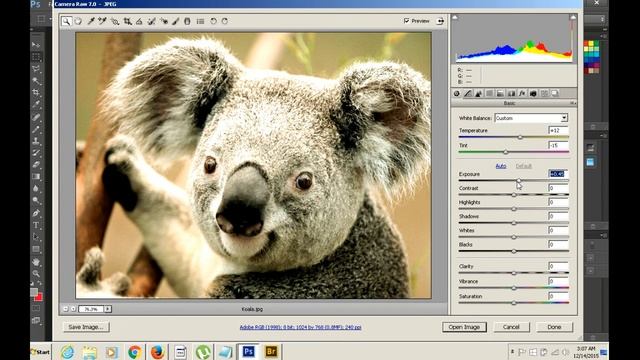 Adobe - Bridge's parents application is not active fix - (camera raw edit problem ) смотреть онлайн