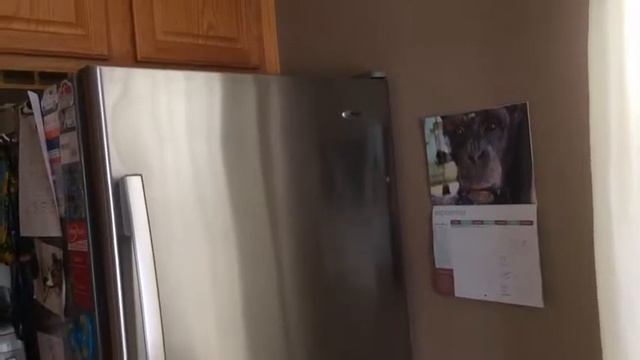 Средство для полировки мебели смотреть онлайн