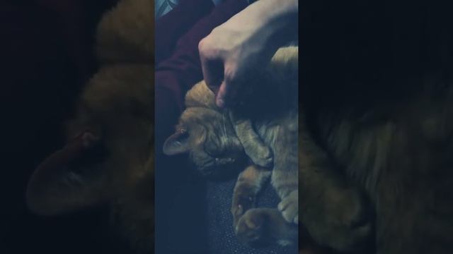 Крепкий сон. Не поднять. смотреть онлайн