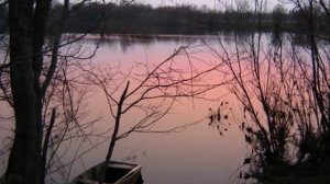 Жанна Бичевская - Закатилася зорька за лес