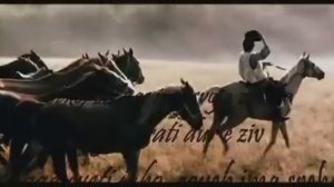 Vlatko Stefanovski   Gipsy song