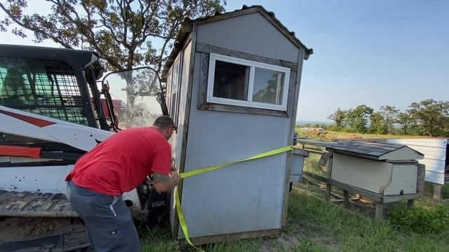 Shed To Tiny House Chicken Coop: Moving A Chicken Coop, Chickens to be away from The Crazy Goats смотреть онлайн