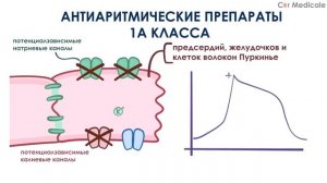 Антиаритмические препараты 1 класса - блокаторы натриевых каналов
