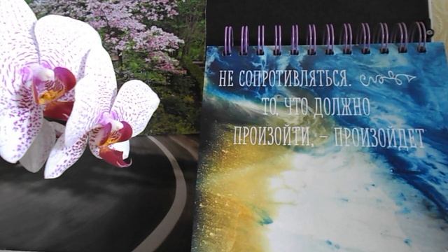 Как повлияет первое затмение Луны на знаки Зодиака? (Овен-Лев) смотреть онлайн