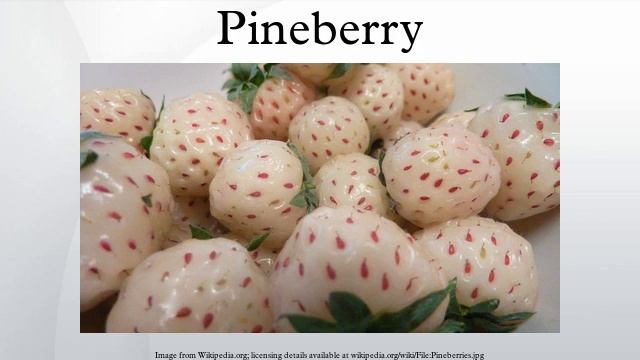 Pineberry смотреть онлайн