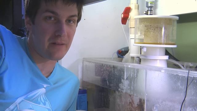 Tuning a Protein Skimmer смотреть онлайн