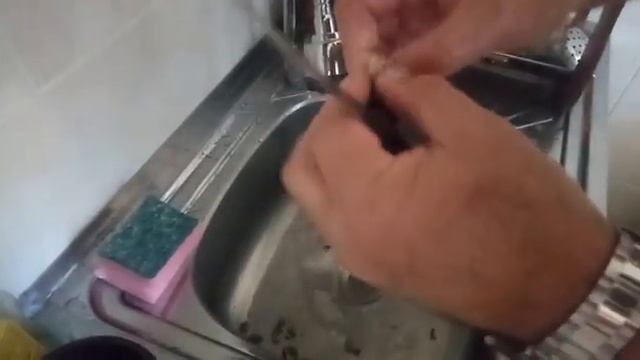 Приготовление Рапанов смотреть онлайн