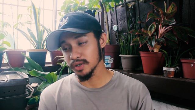 Carbon For Compost: 5 Alternatives For Dried Leaves| PH