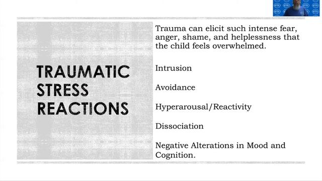 Behavior of Individuals смотреть онлайн