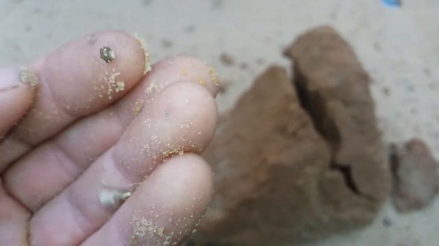 Забытые миры