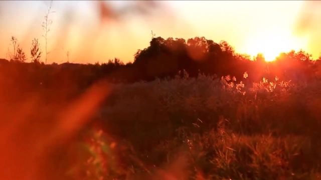 Жанна Бичевская - Бродяга смотреть онлайн