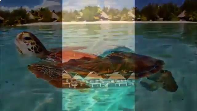 горящие туры турция египет смотреть онлайн