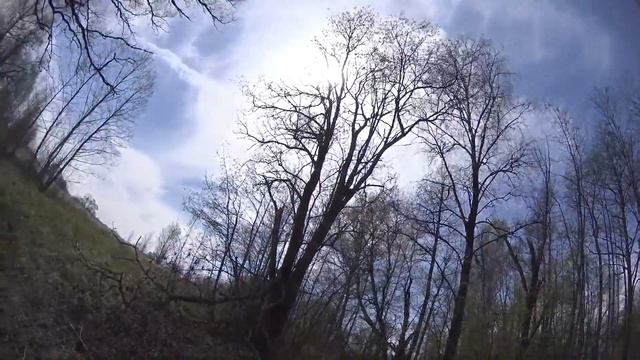 Видеокоп. Поиски клада - бывает и такое. смотреть онлайн