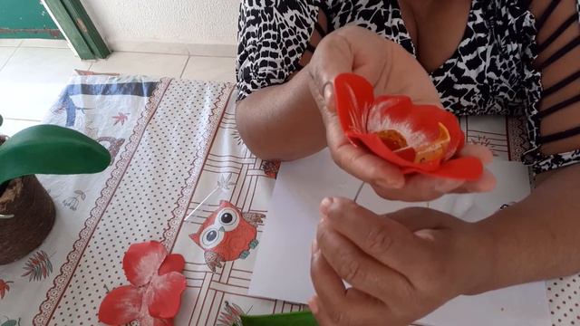 orquídea phalaenopsis vermelha смотреть онлайн