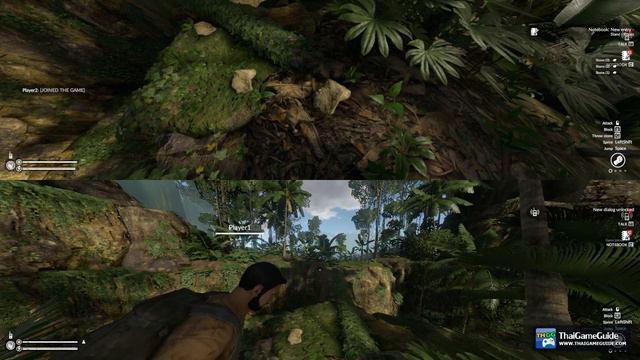 How to play Green Hell in Split Screen on PC via Nucleus Co-op with 2 Mice & 2 Keyboards смотреть онлайн