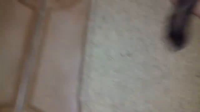 Как мы кормим кота? смотреть онлайн