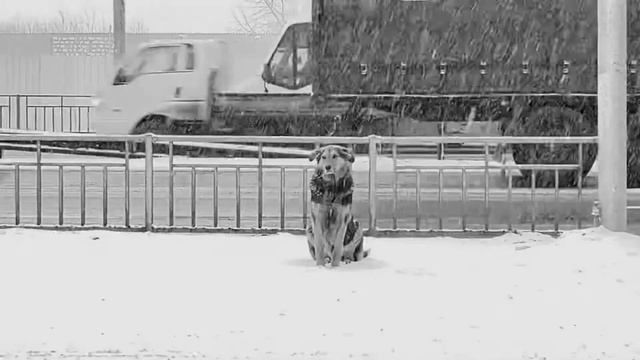 Этюд одиночество смотреть онлайн