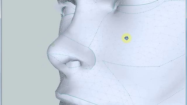 Surface editing with Tgi3D SU Amorph plug-in for Sketch Up смотреть онлайн