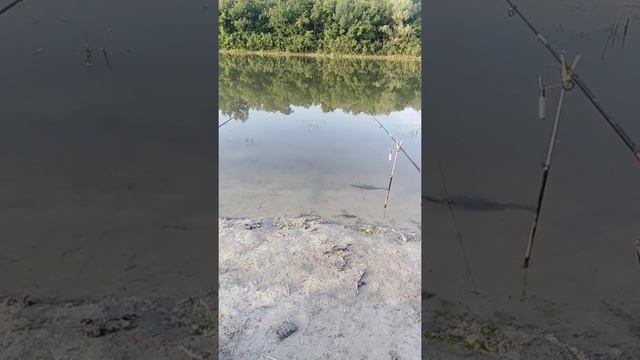 Рыбалка На КАРАСЯ! ?#Новочеркасск #Карась #Рыбалка смотреть онлайн