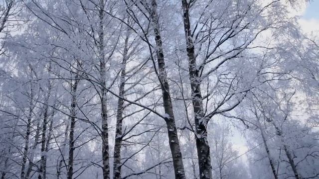 Стихи о любви. Ты вошел в мою жизнь. Философия жизни в стихе и прозе. смотреть онлайн