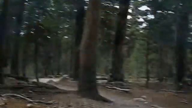 Tuolumne Meadows Backpacking To Cathedral Lake On John Muir Trail