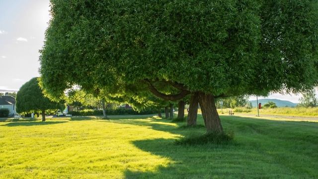 Why Ricoh GRIII/GRIIIx Beats Fujifilm X100V смотреть онлайн