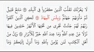 Сура 3. Стр. 76 | аяты 195 - 200. Али Имрон. Учебное чтение Корана.