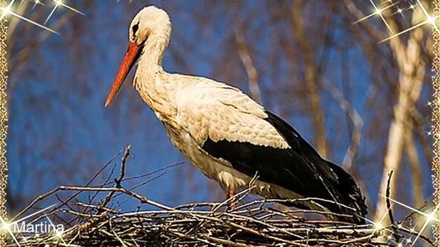 ВЕСЕННЯЯ ПОРА смотреть онлайн