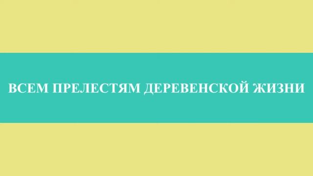 промо Экологическое шоу смотреть онлайн