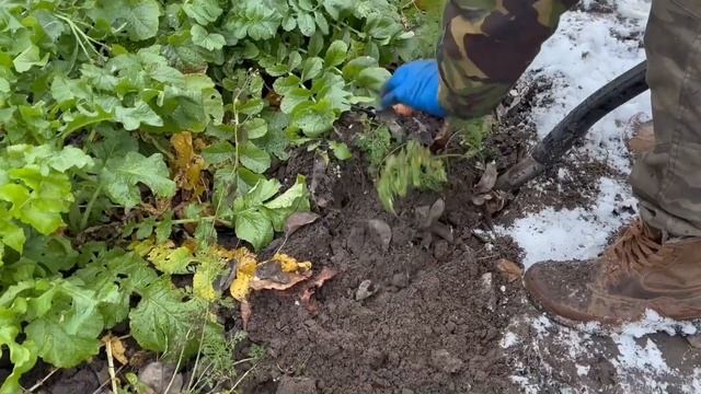 ЖИВУ в БЕЛАРУСИ. В ДЕРЕВНЕ. НЕ на ХУТОРЕ смотреть онлайн