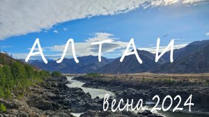 Алтай весна 2024. Манжерок. Бирюзовая Катунь. КЛЕЩИ! Ороктойский мост.